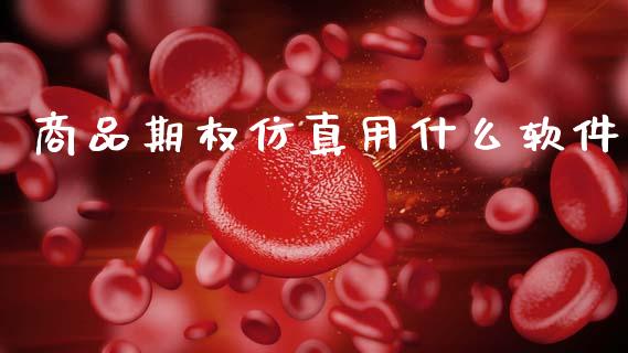 商品期权仿真用什么软件_https://m.jnlaobingbanjia.com_全球市场_第1张