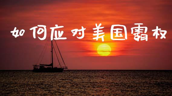 如何应对美国霸权_https://m.jnlaobingbanjia.com_基金市场_第1张