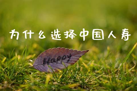为什么选择中国人寿_https://m.jnlaobingbanjia.com_基金市场_第1张