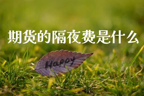 期货的隔夜费是什么_https://m.jnlaobingbanjia.com_金融监管_第1张