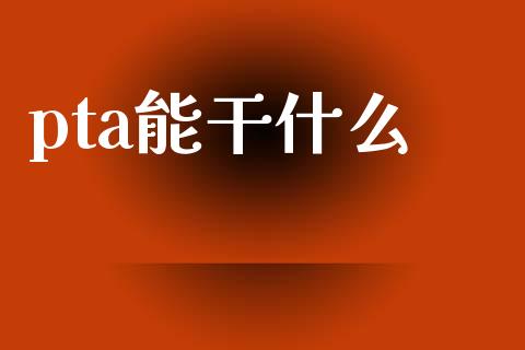pta能干什么_https://m.jnlaobingbanjia.com_股市新闻_第1张