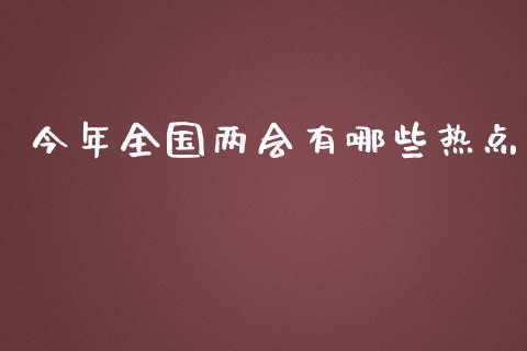 今年全国两会有哪些热点_https://m.jnlaobingbanjia.com_理财规划_第1张