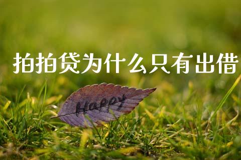拍拍贷为什么只有出借_https://m.jnlaobingbanjia.com_理财规划_第1张