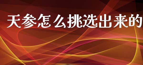 天参怎么挑选出来的_https://m.jnlaobingbanjia.com_股市新闻_第1张