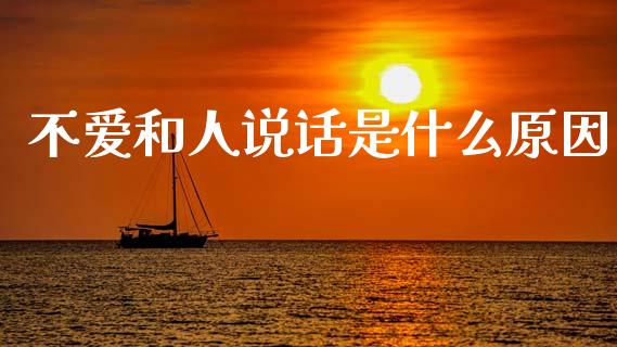 不爱和人说话是什么原因_https://m.jnlaobingbanjia.com_理财规划_第1张