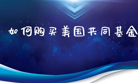 如何购买美国共同基金_https://m.jnlaobingbanjia.com_股市新闻_第1张