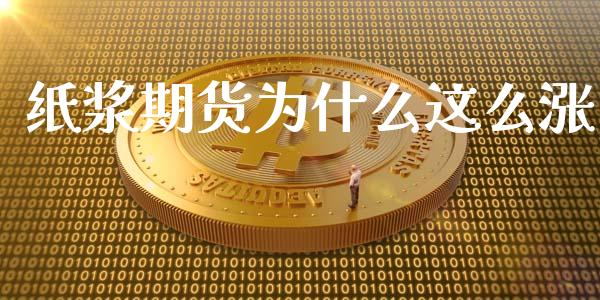 纸浆期货为什么这么涨_https://m.jnlaobingbanjia.com_理财规划_第1张