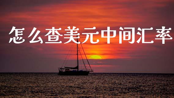 怎么查美元中间汇率_https://m.jnlaobingbanjia.com_股市新闻_第1张