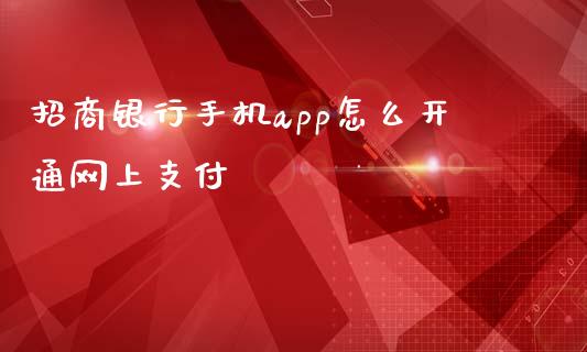 招商银行手机app怎么开通网上支付_https://m.jnlaobingbanjia.com_基金市场_第1张