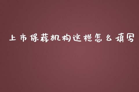 上市保荐机构这栏怎么填写_https://m.jnlaobingbanjia.com_金融监管_第1张
