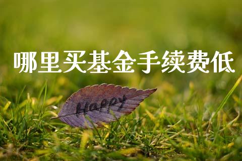 哪里买基金手续费低_https://m.jnlaobingbanjia.com_金融监管_第1张