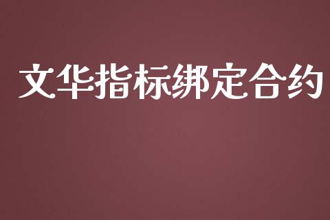 文华指标绑定合约_https://m.jnlaobingbanjia.com_理财规划_第1张