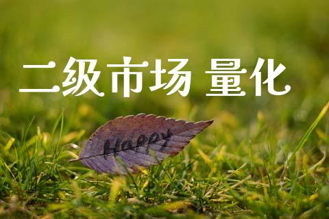 二级市场 量化_https://m.jnlaobingbanjia.com_全球市场_第1张