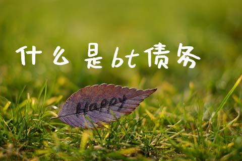什么是bt债务_https://m.jnlaobingbanjia.com_理财规划_第1张