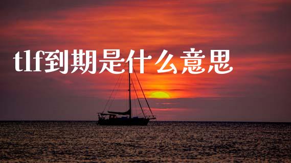tlf到期是什么意思_https://m.jnlaobingbanjia.com_股市新闻_第1张
