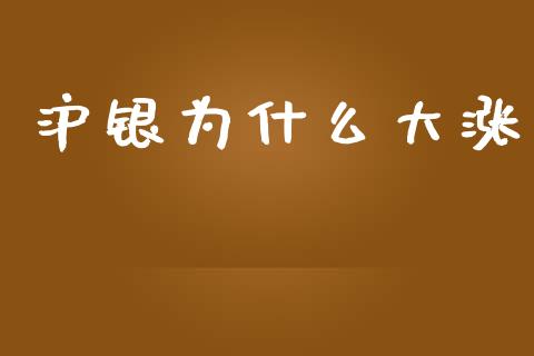 沪银为什么大涨_https://m.jnlaobingbanjia.com_股市新闻_第1张