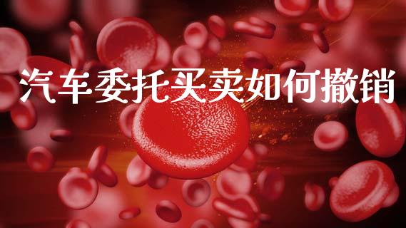 汽车委托买卖如何撤销_https://m.jnlaobingbanjia.com_理财规划_第1张