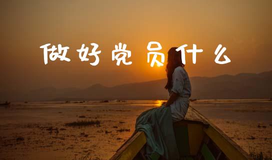 做好党员什么_https://m.jnlaobingbanjia.com_全球市场_第1张