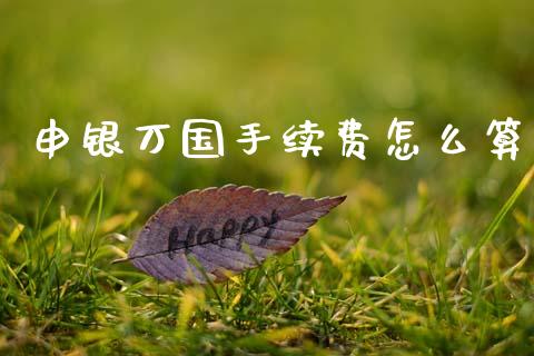 申银万国手续费怎么算_https://m.jnlaobingbanjia.com_理财规划_第1张