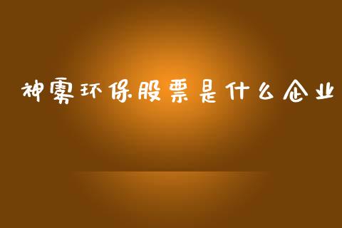 神雾环保股票是什么企业_https://m.jnlaobingbanjia.com_股市新闻_第1张