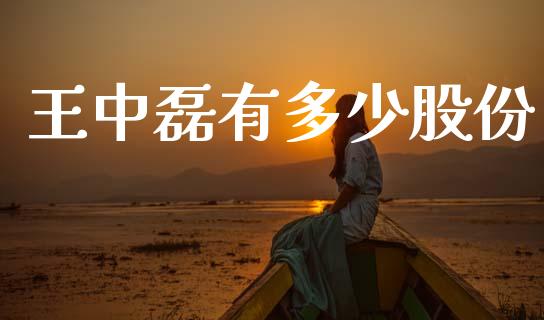 王中磊有多少股份_https://m.jnlaobingbanjia.com_基金市场_第1张