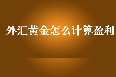 外汇黄金怎么计算盈利_https://m.jnlaobingbanjia.com_全球市场_第1张