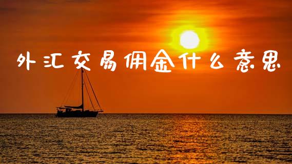 外汇交易佣金什么意思_https://m.jnlaobingbanjia.com_区块链_第1张