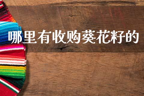 哪里有收购葵花籽的_https://m.jnlaobingbanjia.com_全球市场_第1张
