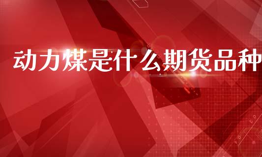 动力煤是什么期货品种_https://m.jnlaobingbanjia.com_金融监管_第1张