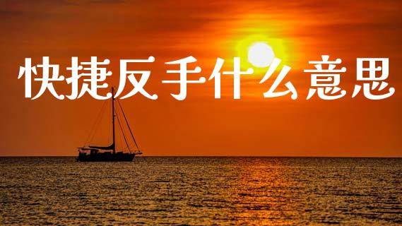快捷反手什么意思_https://m.jnlaobingbanjia.com_理财规划_第1张