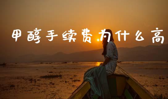 甲醇手续费为什么高_https://m.jnlaobingbanjia.com_股市新闻_第1张