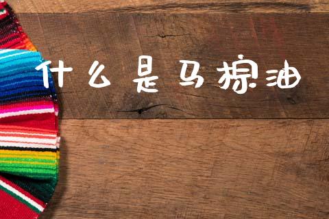 什么是马棕油_https://m.jnlaobingbanjia.com_基金市场_第1张