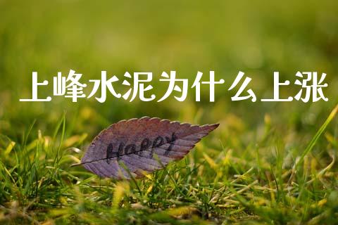 上峰水泥为什么上涨_https://m.jnlaobingbanjia.com_金融监管_第1张