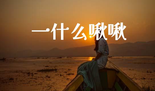 一什么啾啾_https://m.jnlaobingbanjia.com_理财规划_第1张