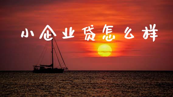 小企业贷怎么样_https://m.jnlaobingbanjia.com_全球市场_第1张