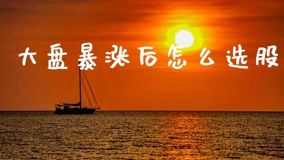 大盘暴涨后怎么选股_https://m.jnlaobingbanjia.com_全球市场_第1张