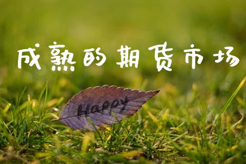 成熟的期货市场_https://m.jnlaobingbanjia.com_区块链_第1张