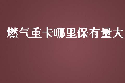 燃气重卡哪里保有量大_https://m.jnlaobingbanjia.com_区块链_第1张