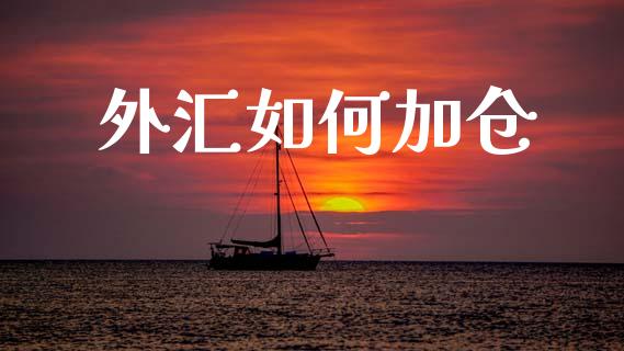 外汇如何加仓_https://m.jnlaobingbanjia.com_基金市场_第1张