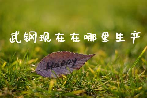 武钢现在在哪里生产_https://m.jnlaobingbanjia.com_理财规划_第1张