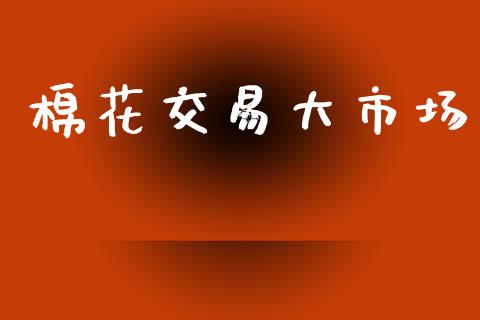 棉花交易大市场_https://m.jnlaobingbanjia.com_金融监管_第1张