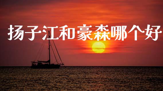 扬子江和豪森哪个好_https://m.jnlaobingbanjia.com_基金市场_第1张