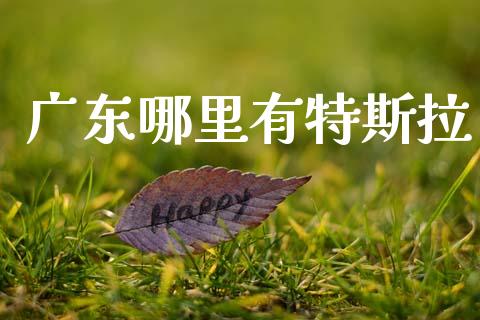 广东哪里有特斯拉_https://m.jnlaobingbanjia.com_金融监管_第1张