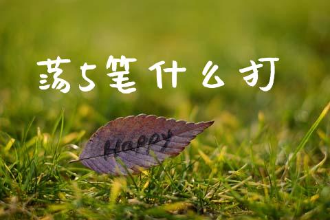 荡5笔什么打_https://m.jnlaobingbanjia.com_理财规划_第1张