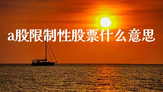 a股限制性股票什么意思_https://m.jnlaobingbanjia.com_全球市场_第1张