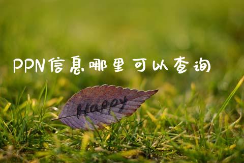 PPN信息哪里可以查询_https://m.jnlaobingbanjia.com_基金市场_第1张