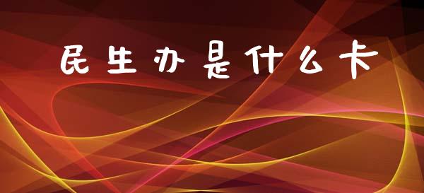 民生办是什么卡_https://m.jnlaobingbanjia.com_金融监管_第1张