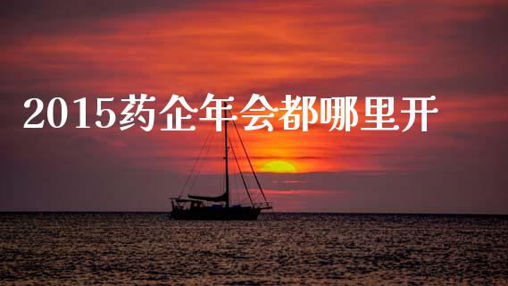2015药企年会都哪里开_https://m.jnlaobingbanjia.com_股市新闻_第1张