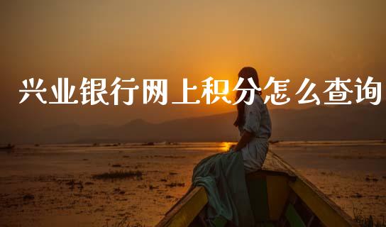 兴业银行网上积分怎么查询_https://m.jnlaobingbanjia.com_理财规划_第1张