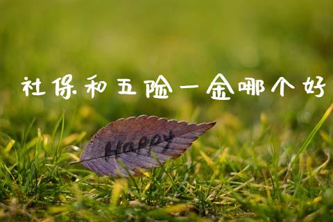 社保和五险一金哪个好_https://m.jnlaobingbanjia.com_金融监管_第1张